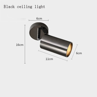 Golden Modern Ceiling Light Neutral White Lighting TV Backdrop Living Room Hotel Office Club Bar Cloth Store Ceiling Lamp