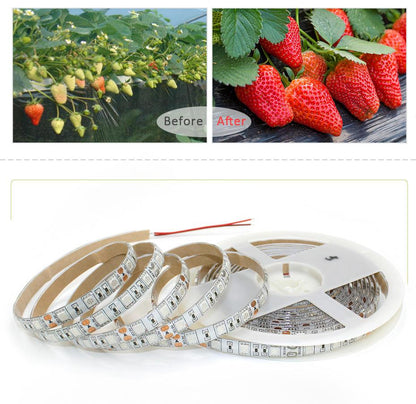 LED Grow light Full Spectrum 5M LED Strip light 5050 LED Flower Plant Phyto Growth lamps For Greenhouse Hydroponic Plant Growing