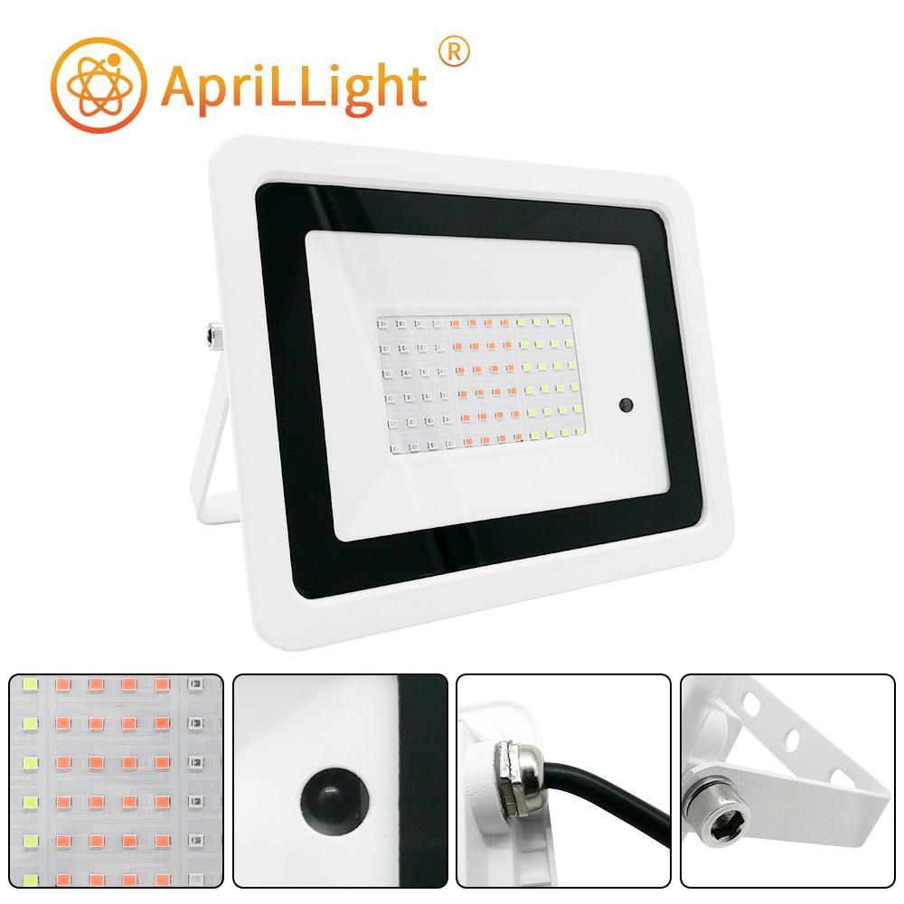 Led RGB Flood Light 20W 30W 50W 100W IP68 Outdoor Spotlight 220V/110V RGB Reflector Projector Lamp With Color Remote Controller