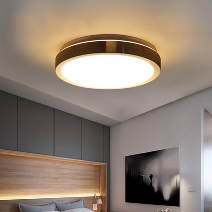High brightness LED Ceiling lights LED Chip 12W 18W 24W 36W 45W LED Ceiling Lamp