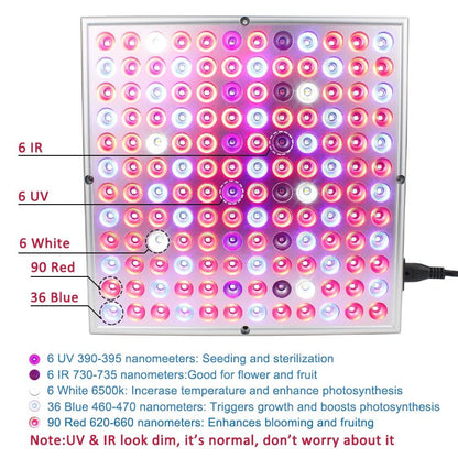 Growing Lamps LED Grow Light 25W 45W Full Spectrum Plant Lighting Fitolampy For Plants Flowers Seedling Cultivation