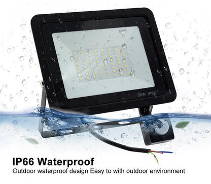 Motion Sensor LED Floodlight  Waterproof Spotlight 10W 30W 50W 100W Flood Light Outdoor Lighting for Garden Street Wall